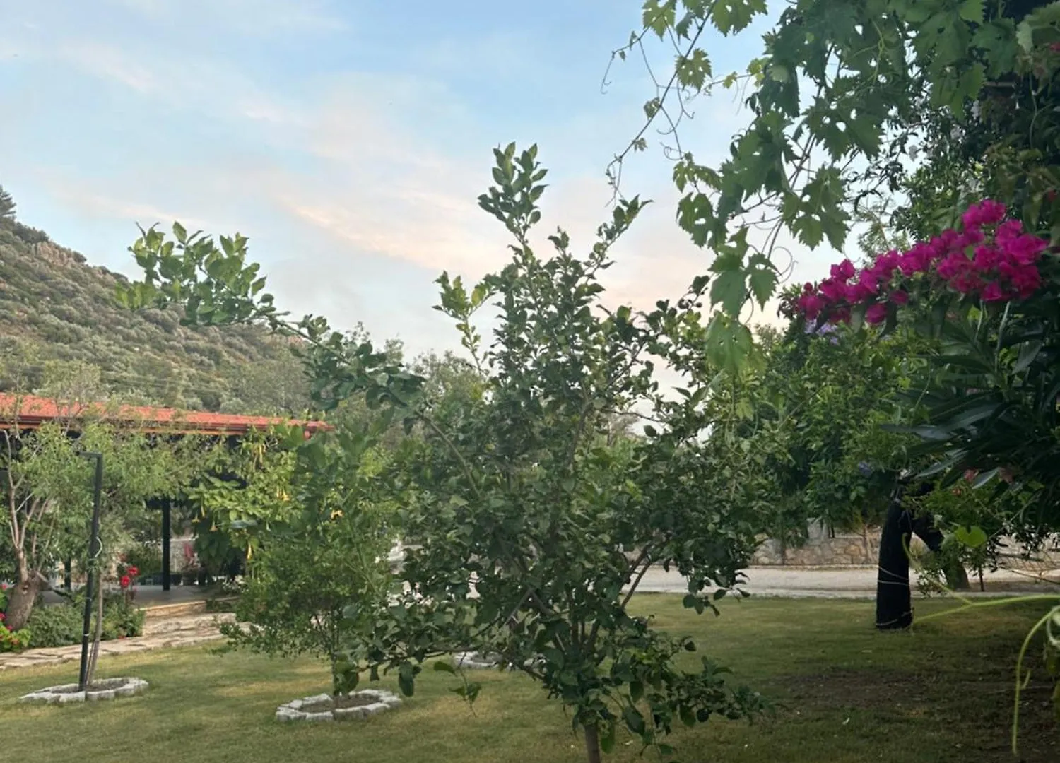 Nirvana Boutique Hotel Datça Turcja